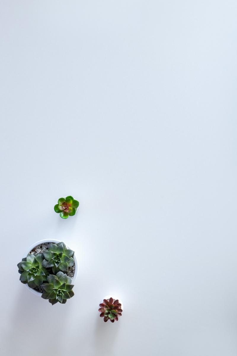 AS08-White3